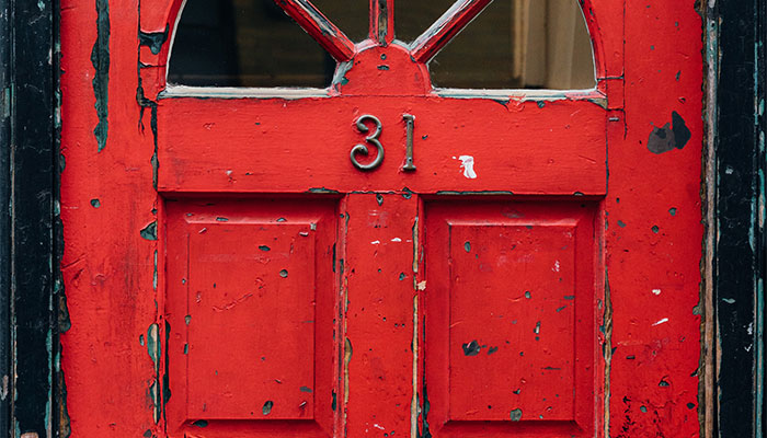 Termite-infested house thrown a lifeline