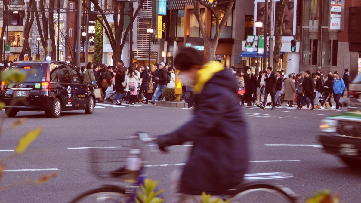 What ‘The Intelligent Investor’ Can Teach You About Thriving in Property Investment