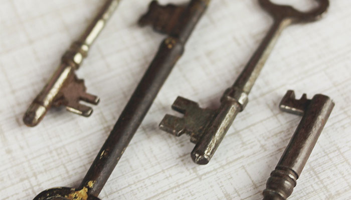 Fastest profit-making development strategy