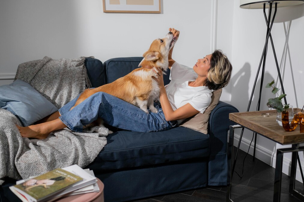 Dog Days in WA: How New Rental Reforms Are Playing Out for Landlords
