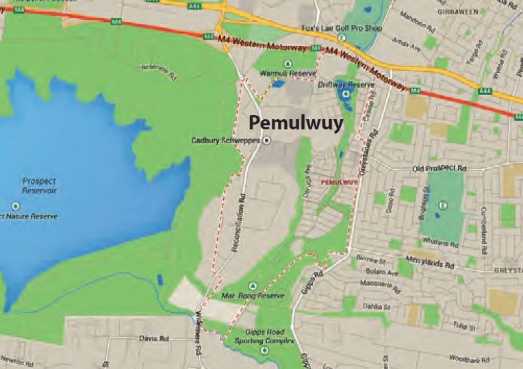 Pemulwuy